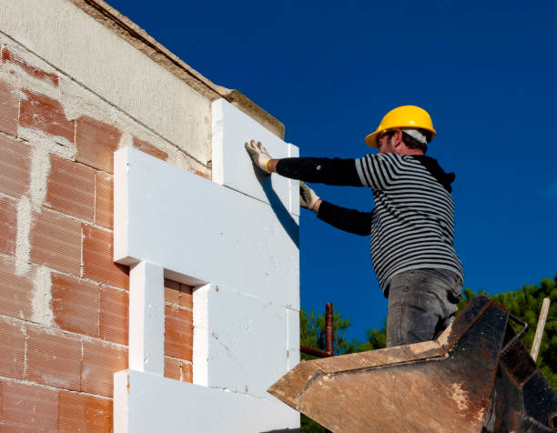 Best Home Insulation Services  in Doral, FL