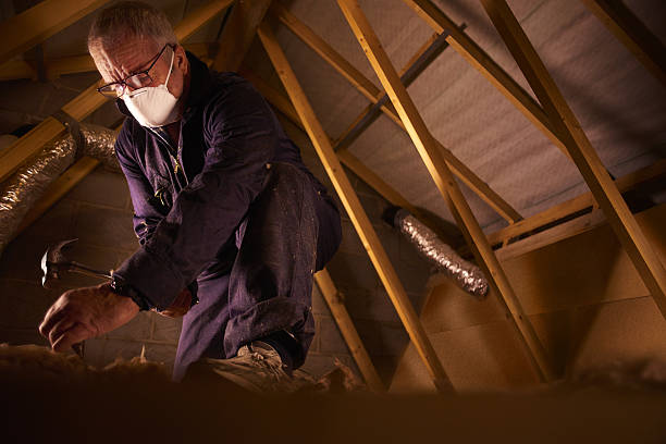 Best Local Insulation Services  in Doral, FL
